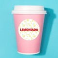 LEMONIADA - Kolorowe Naklejki na lemoniadę - Arkusz A4.jpg