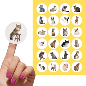 Naklejki KOTY  -  kotki dla dzieci - zestaw naklejek z kotkami